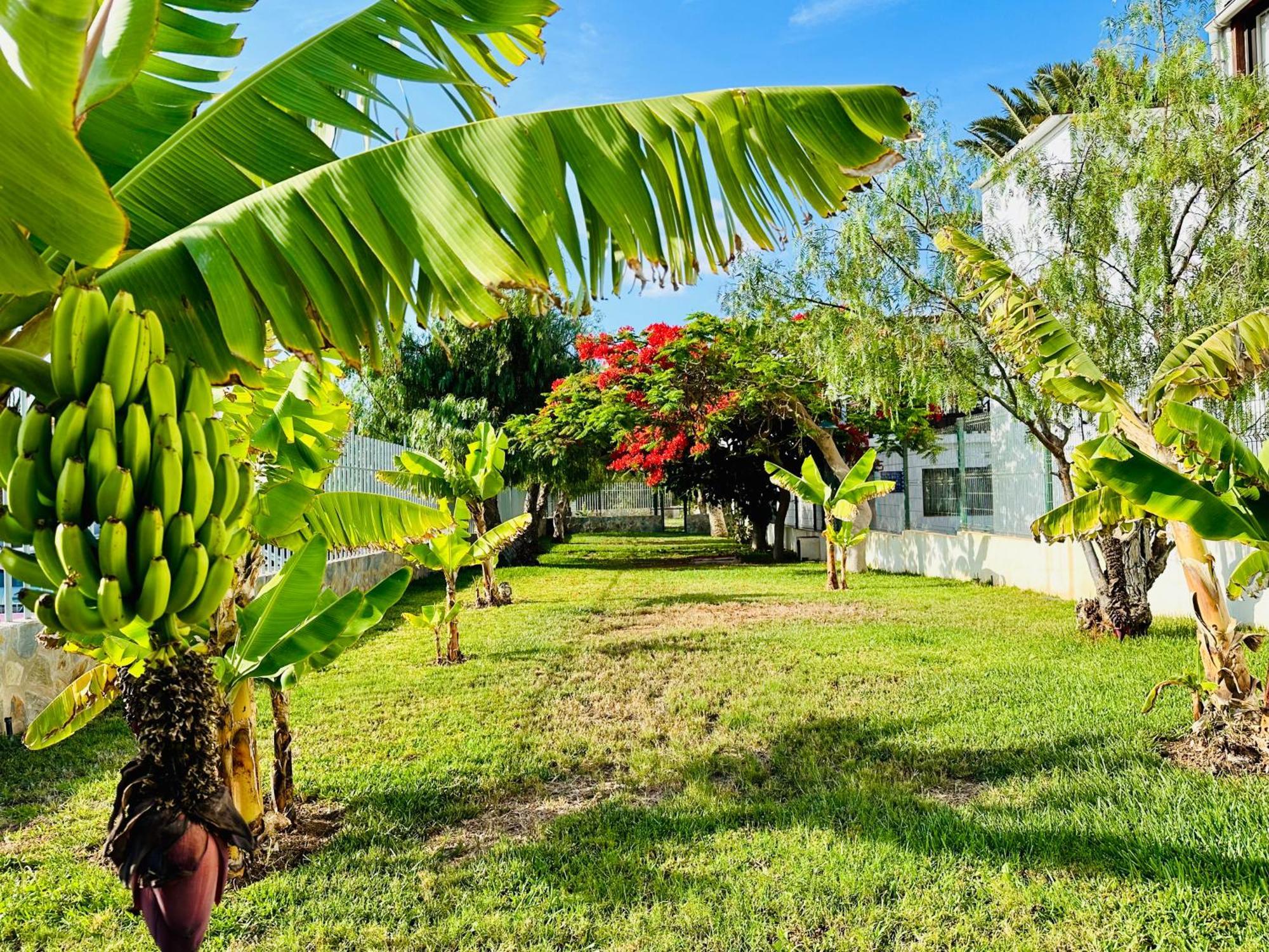 Quiet Apartment Chayofita อาโรนา ภายนอก รูปภาพ