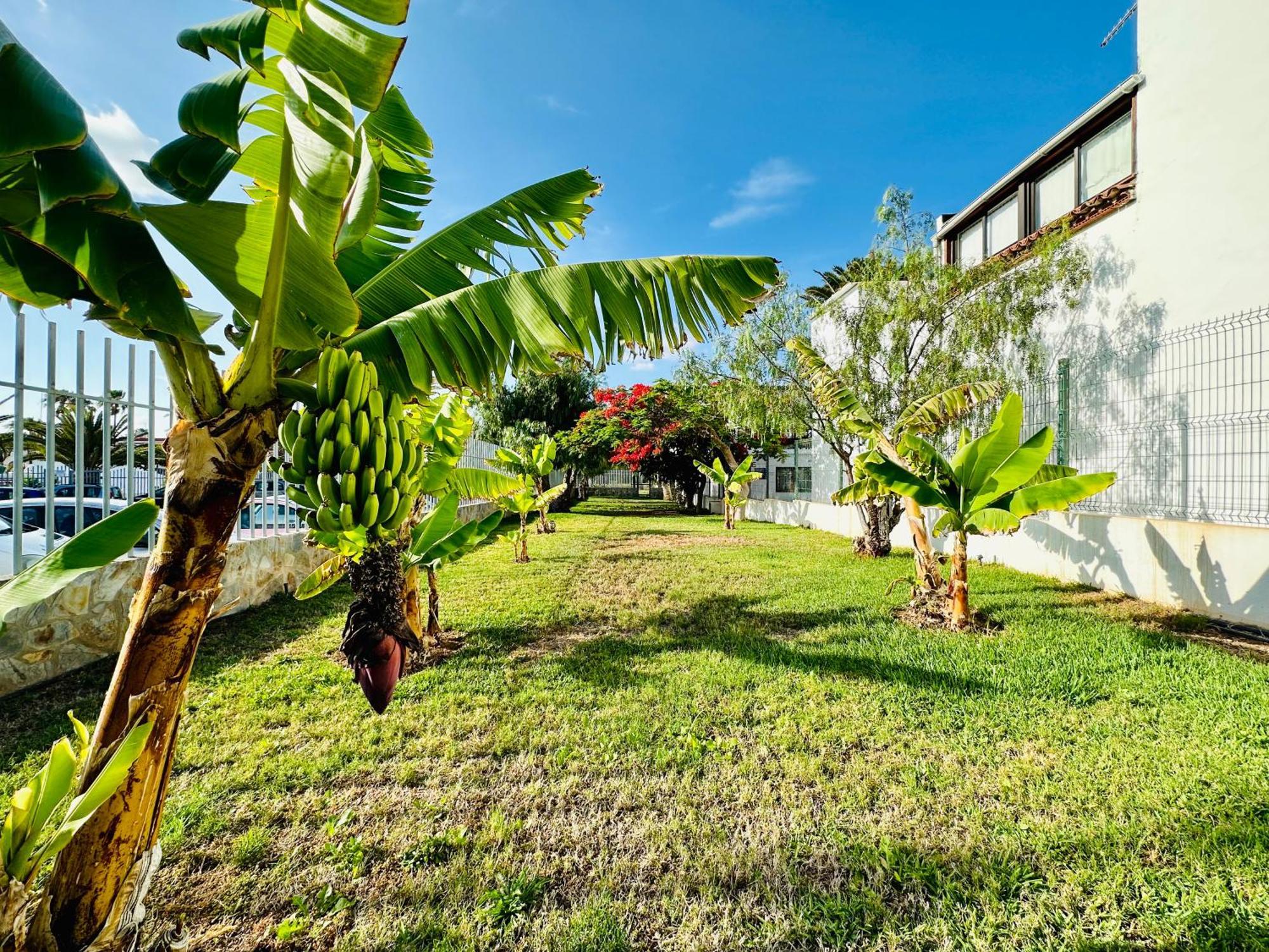 Quiet Apartment Chayofita อาโรนา ภายนอก รูปภาพ